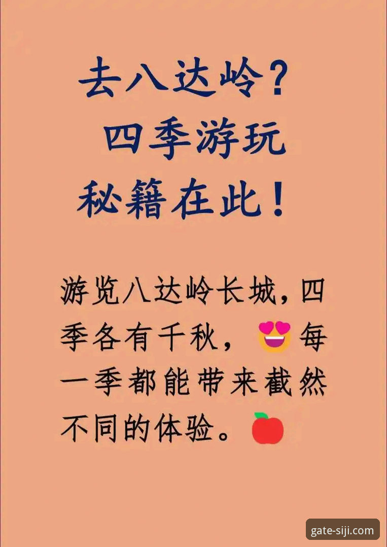 四季体育官网2026最新版本 vs. 旧版：全面升级，体验有何不同？